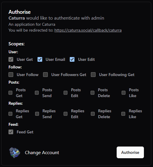 Authorisation page with custom scopes